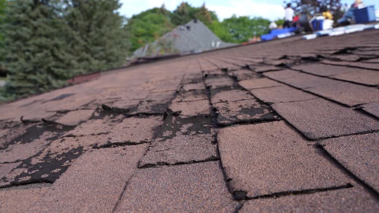 Best Storm Damage Roof Repair  in Elmira Heights, NY